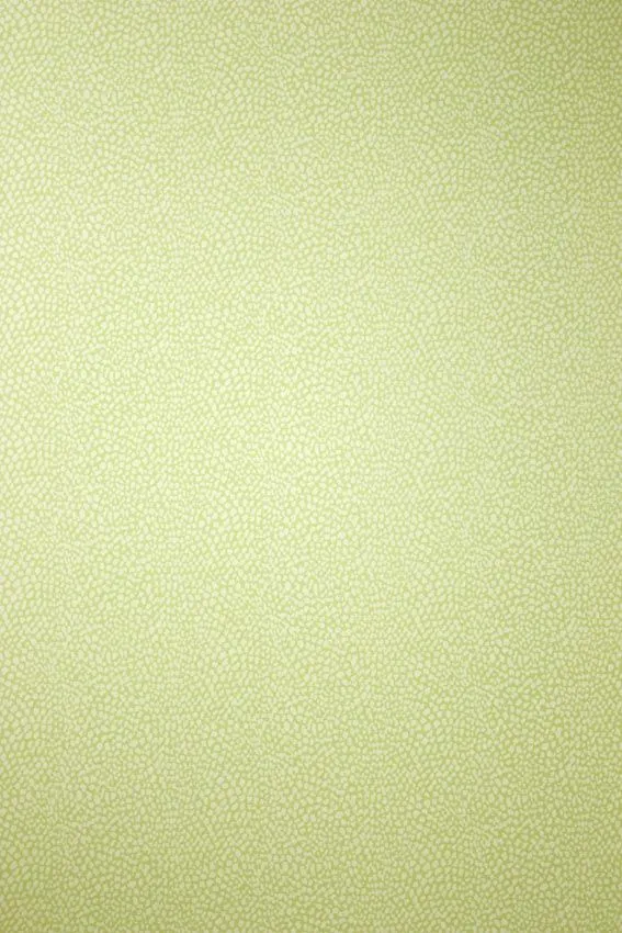 Обои для стен Osborne & Little Wallpaper Album 7 W6491-05