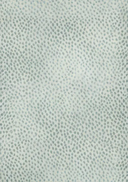 Ткань Anna French Aria Collection AW1388