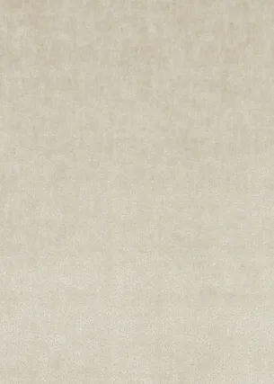 Ткань Baker Lifestyle Carnival collection PF50422_225