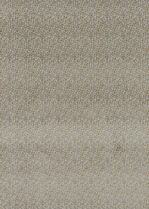 Ткань Baker Lifestyle Carnival collection PF50423_925