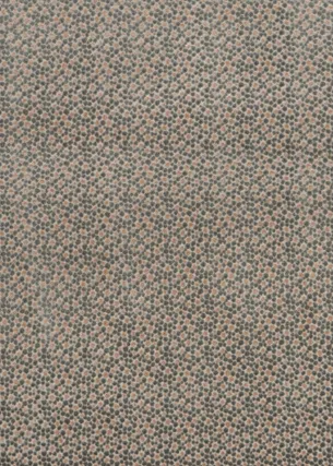 Ткань Baker Lifestyle Carnival collection PF50424_440