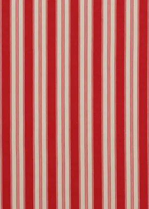 Ткань Baker Lifestyle Carnival collection PF50430_4