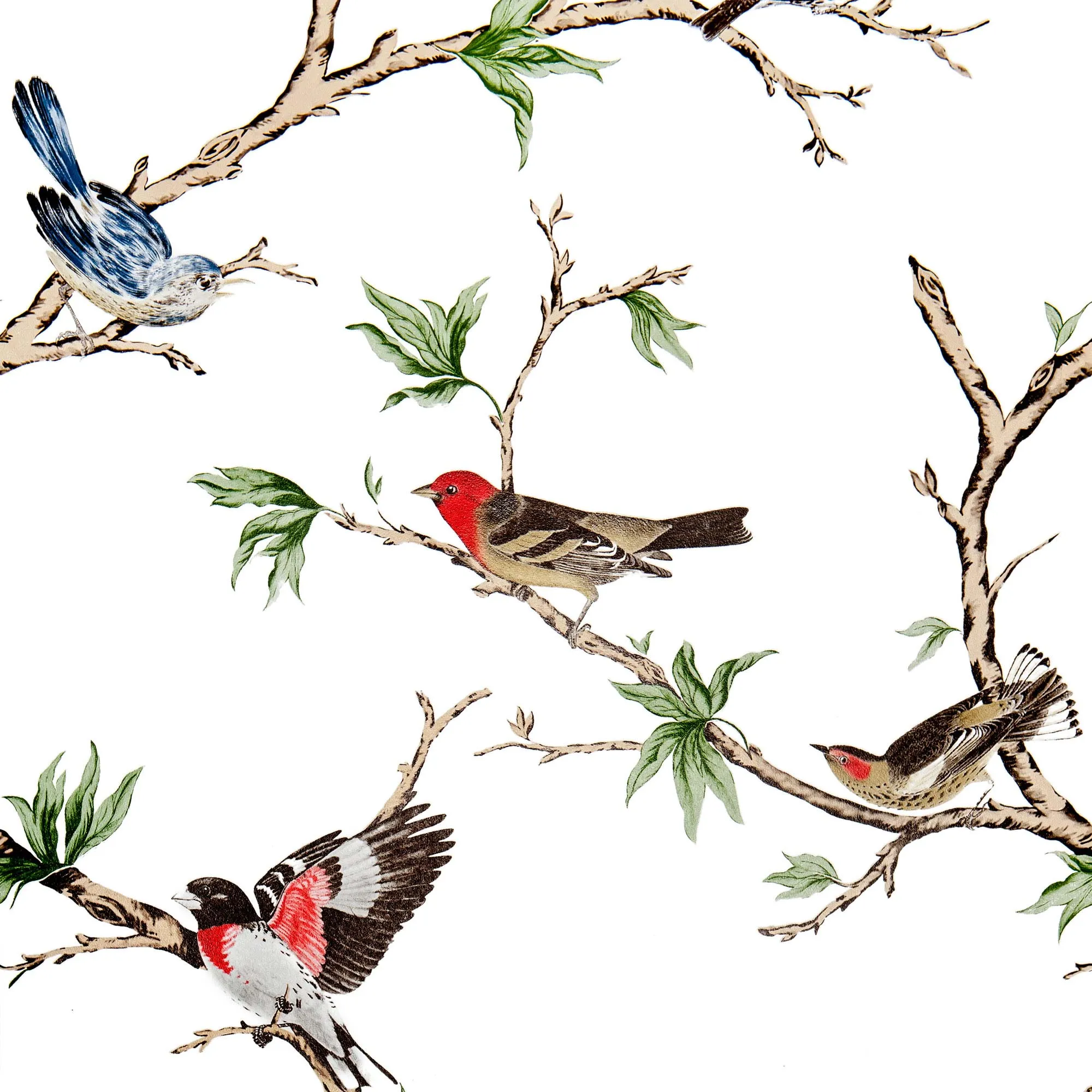 Обои для стен Gaston Y Daniela Dos GDW-5104-002