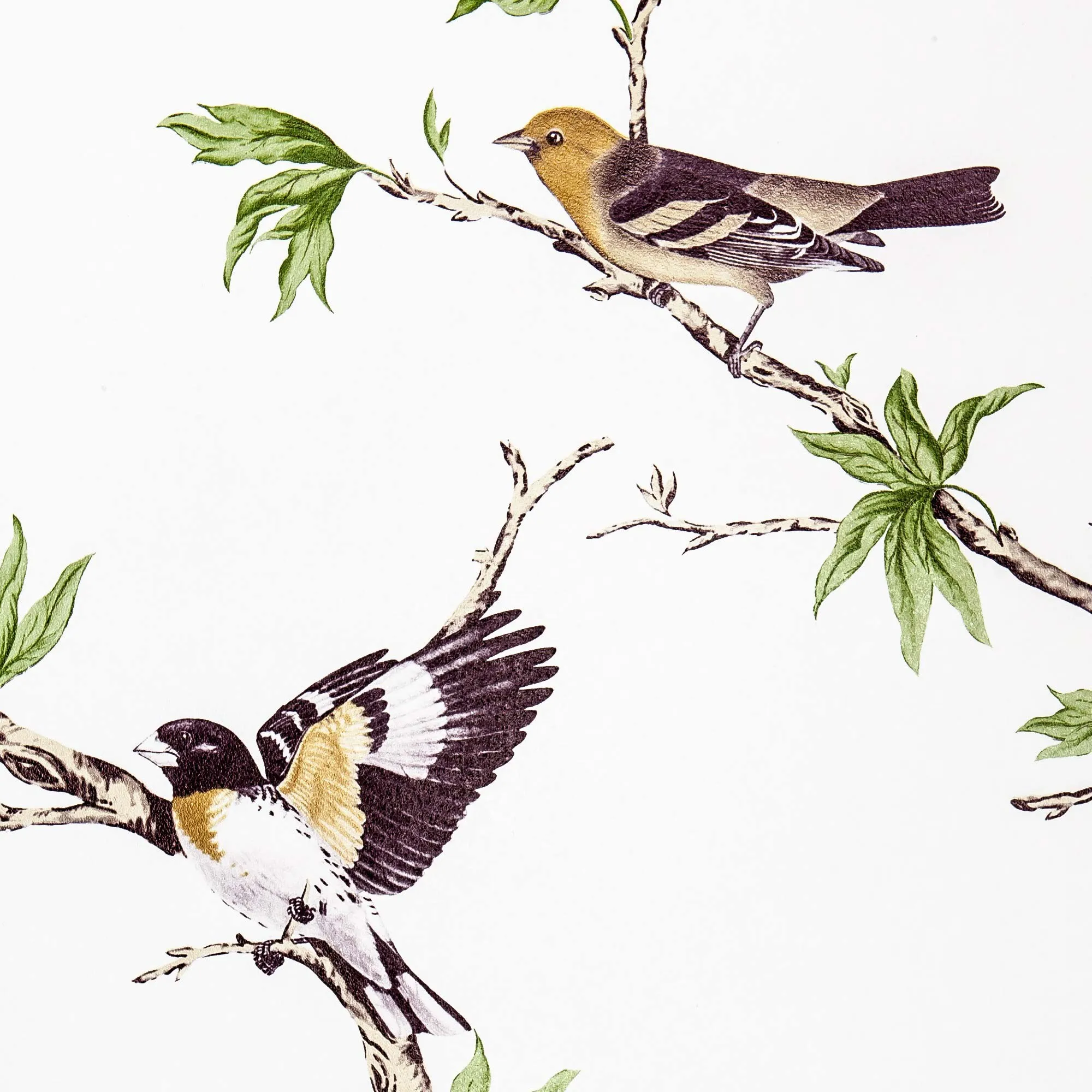 Обои для стен Gaston Y Daniela Dos GDW-5104-005