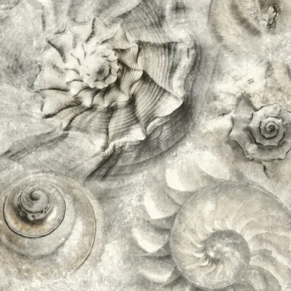 Обои для стен Carey Lind Coastal Calm CM3346