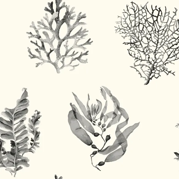 Обои для стен Carey Lind Coastal Calm CM3357