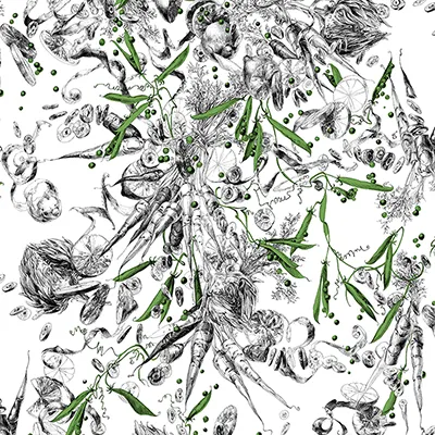 Обои для стен Edmond Petit Catherine Gran RM102-02