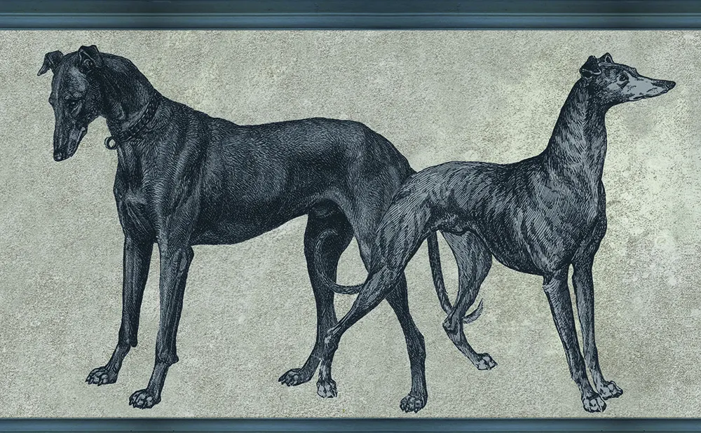 Обои для стен Tenue de Ville Ode Canis-blue