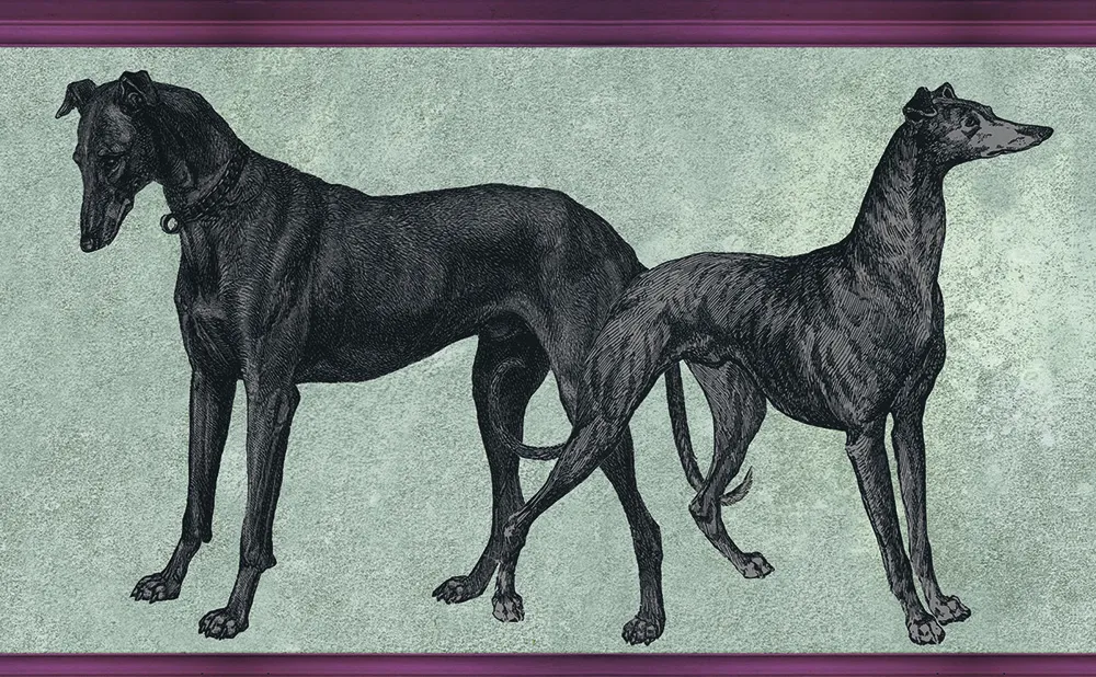 Обои для стен Tenue de Ville Ode Canis-pink