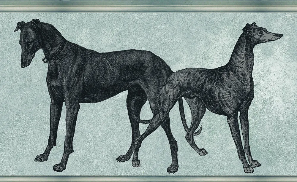 Обои для стен Tenue de Ville Ode Canis-silver