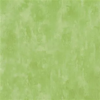 Обои для стен Designers Guild Parchment PDG719-27