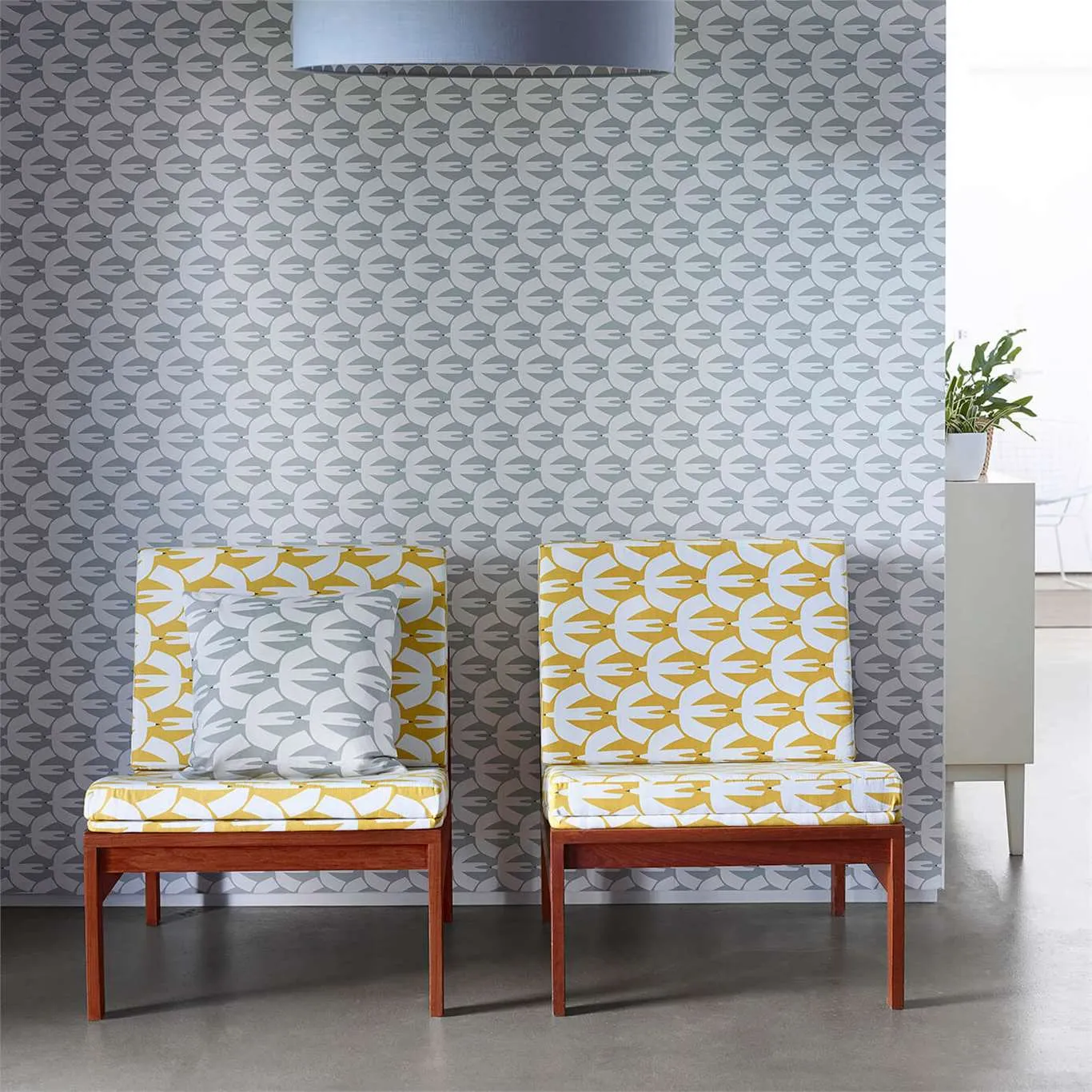 Обои для стен Scion Nuevo 111825 #3