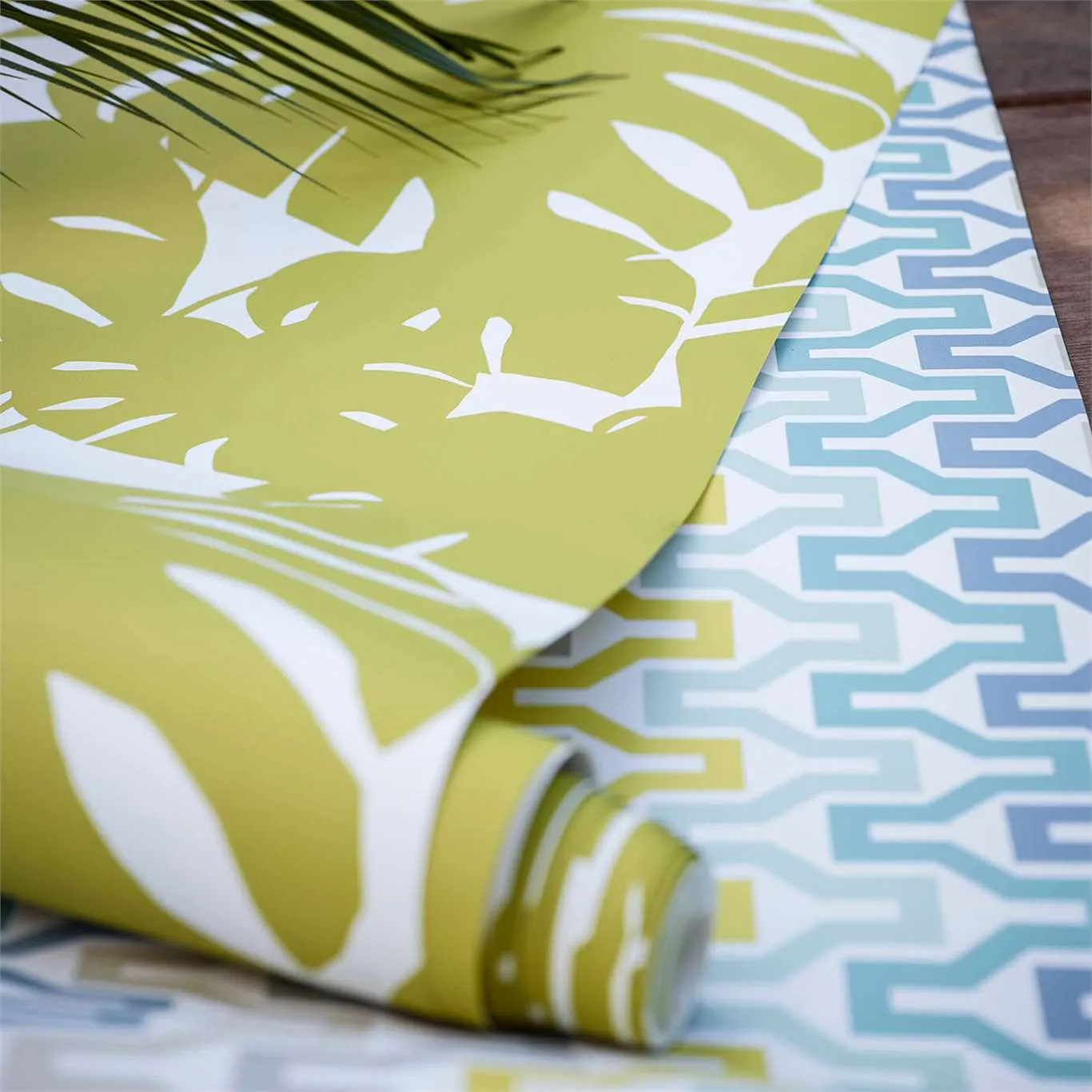 Обои для стен Scion Nuevo 111833 #3