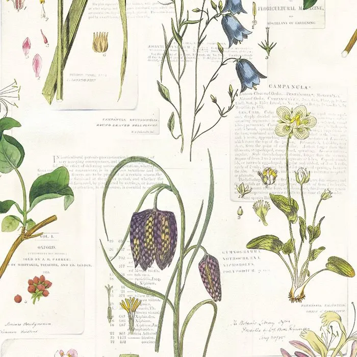 Обои для стен Paper Partnership University of Oxford Archives vol.2 WP0090202