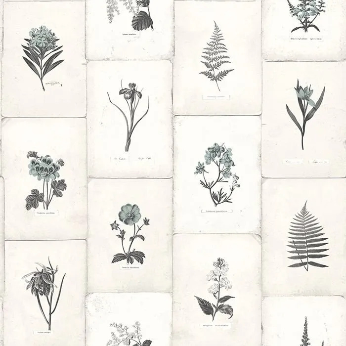 Обои для стен Paper Partnership University of Oxford Archives vol.2 WP0090904