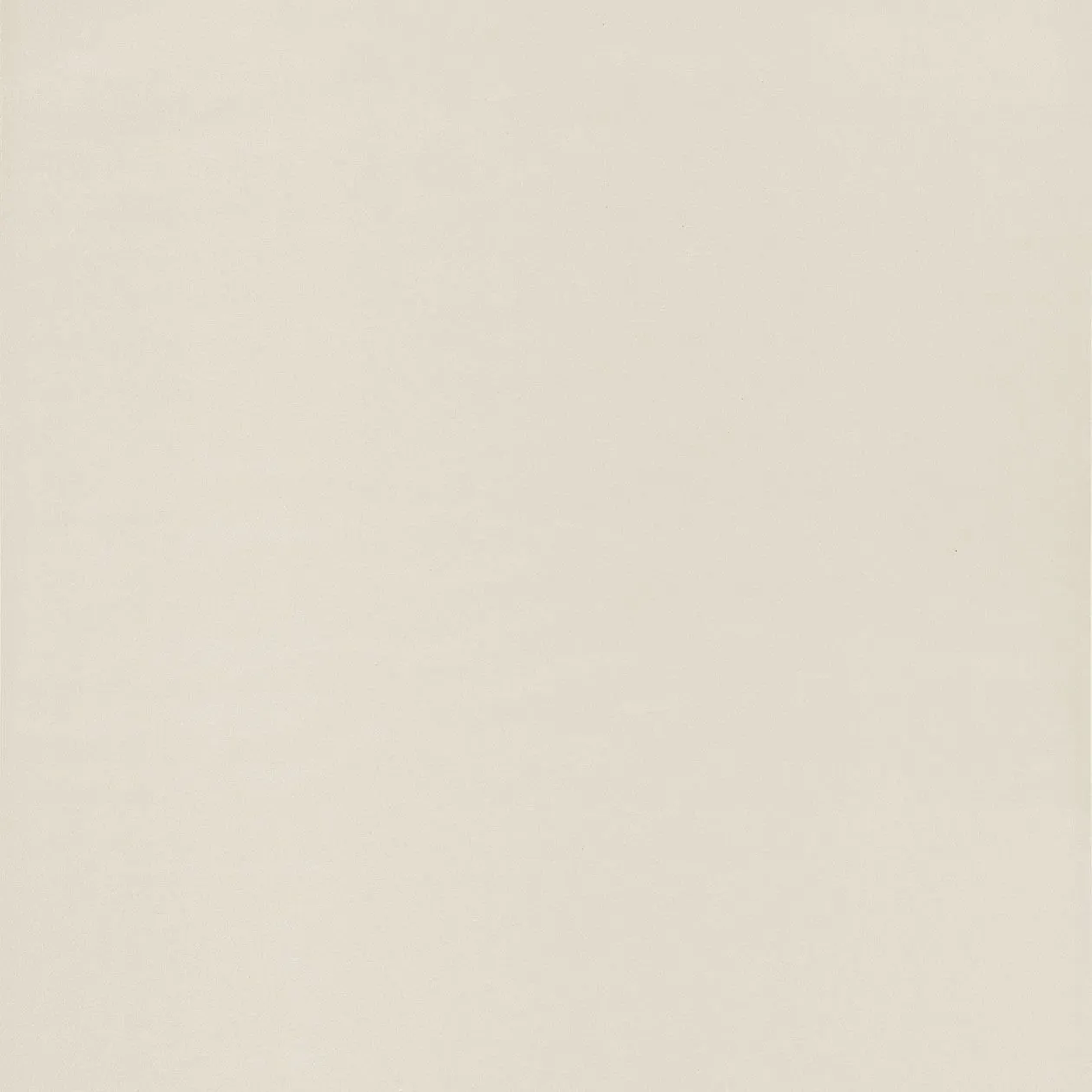 Обои для стен Caselio Pretty Lili PRLI55420101