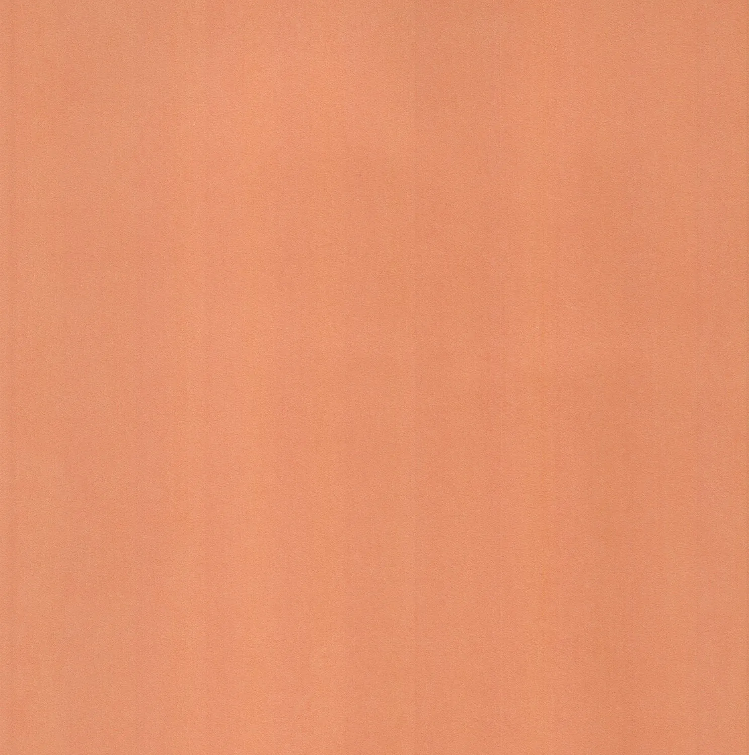 Обои для стен Caselio Pretty Lili PRLI58043012 #1