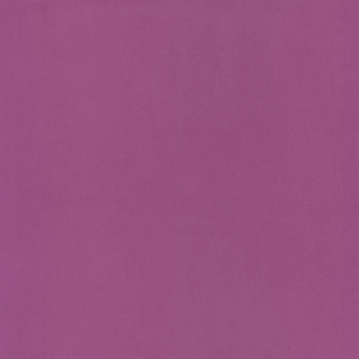 Обои для стен Caselio Pretty Lili PRLI58045074 #1