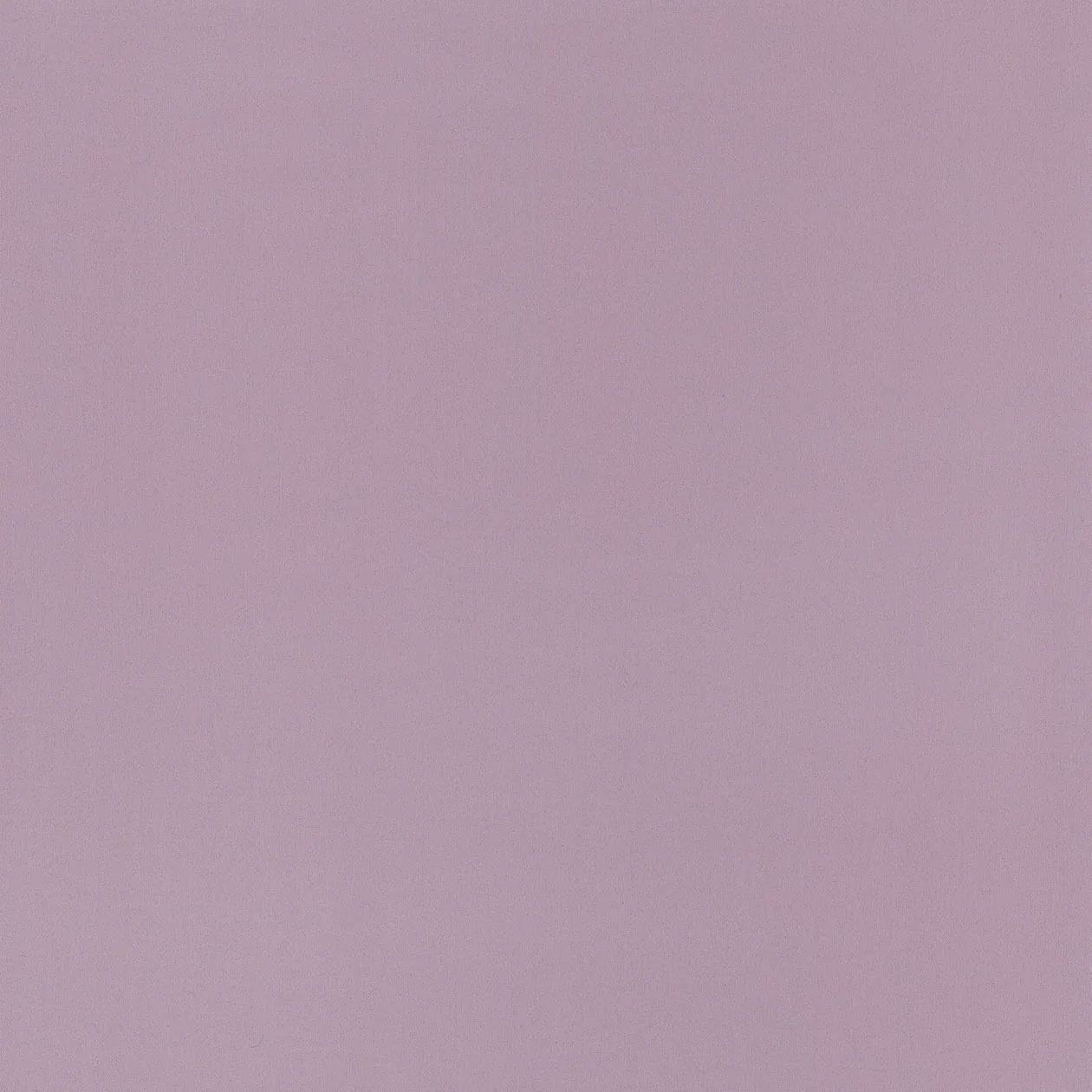 Обои для стен Caselio Pretty Lili PRLI58045146