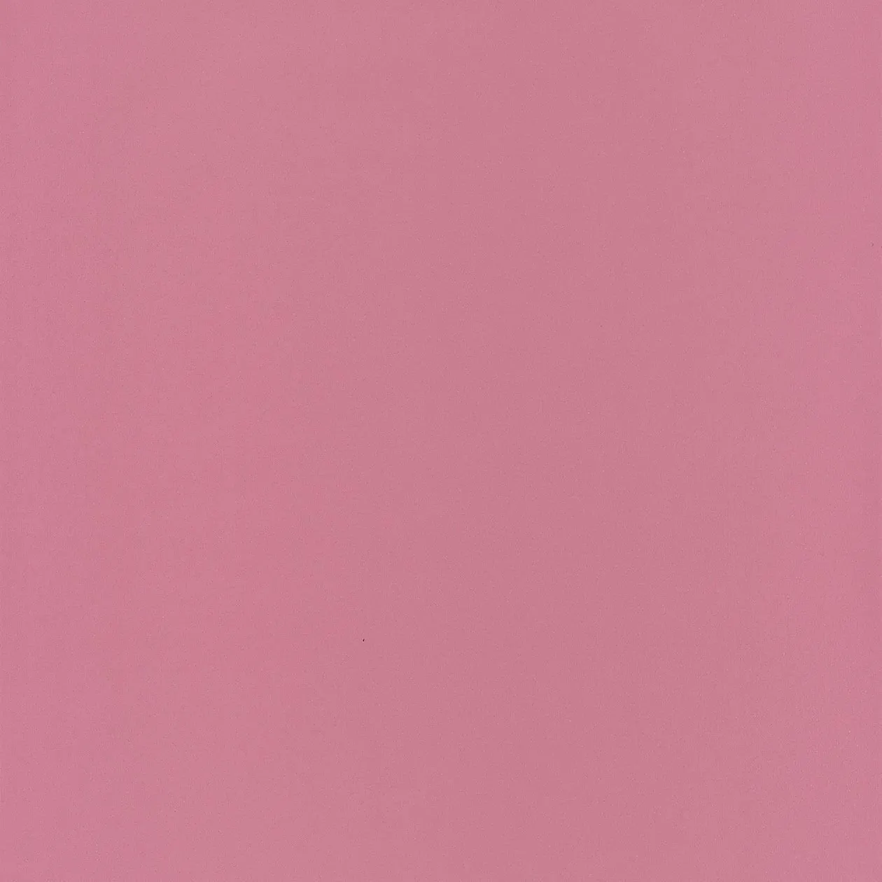 Обои для стен Caselio Pretty Lili PRLI62254049 #1