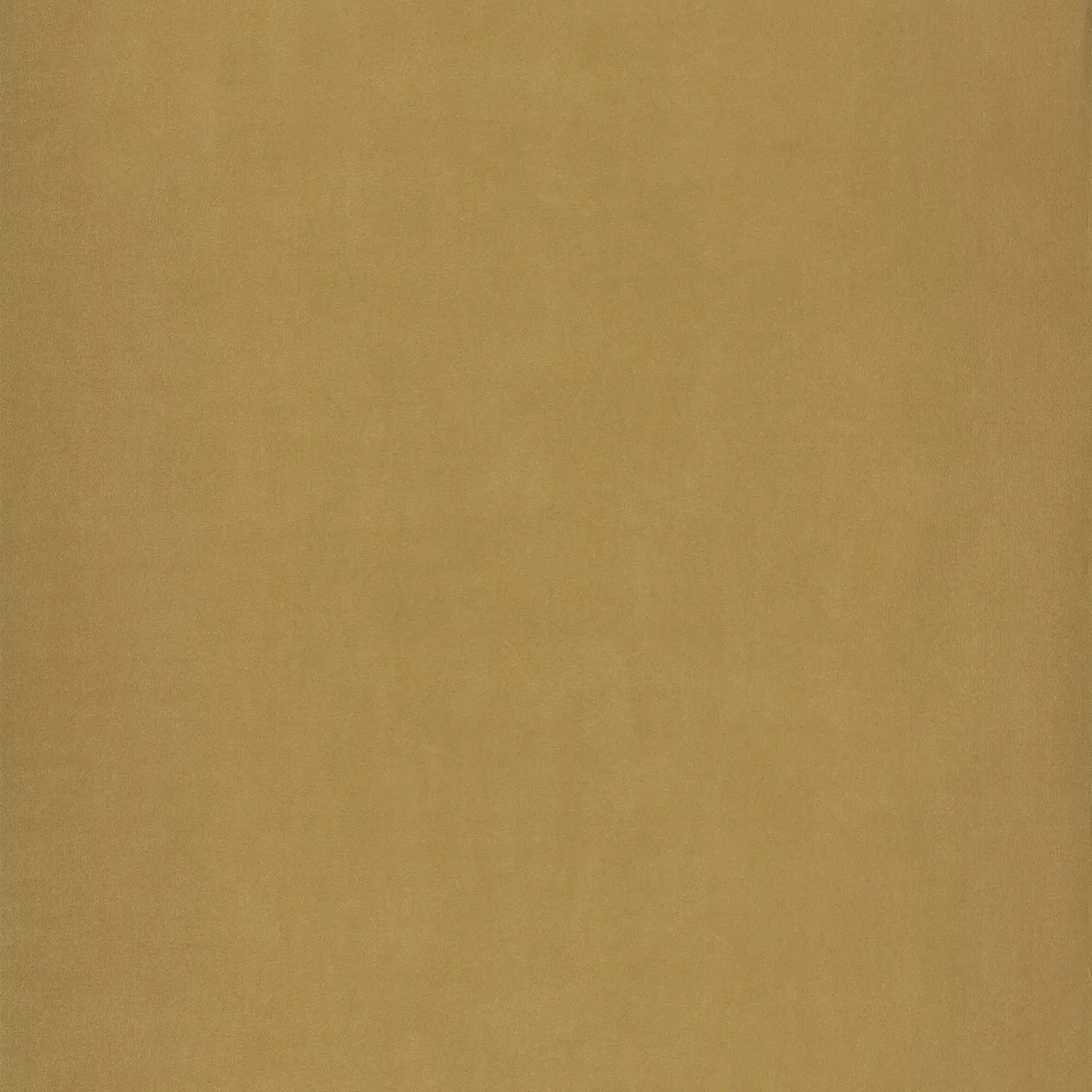 Обои для стен Caselio Pretty Lili PRLI66322204