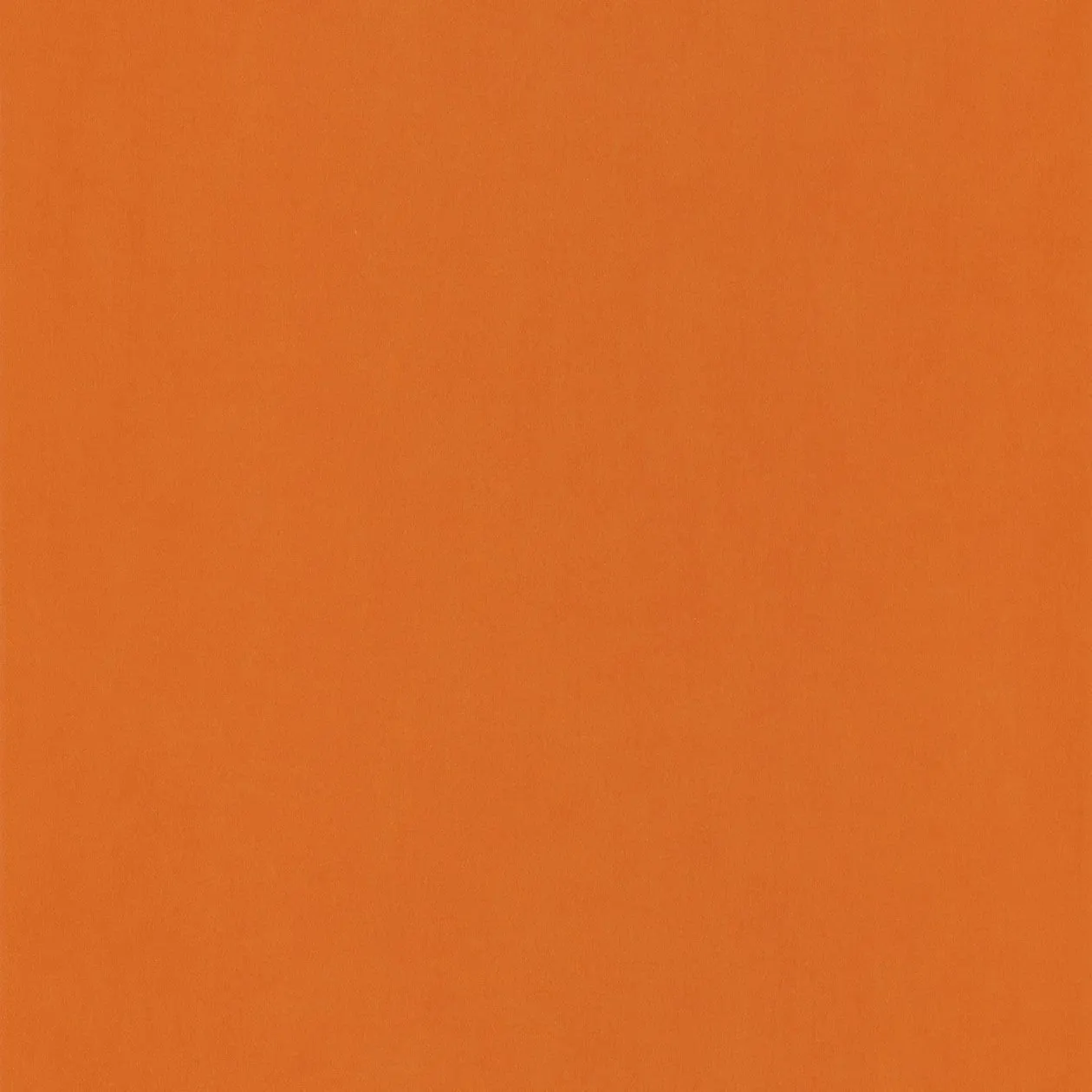 Обои для стен Caselio Pretty Lili PRLI66323110