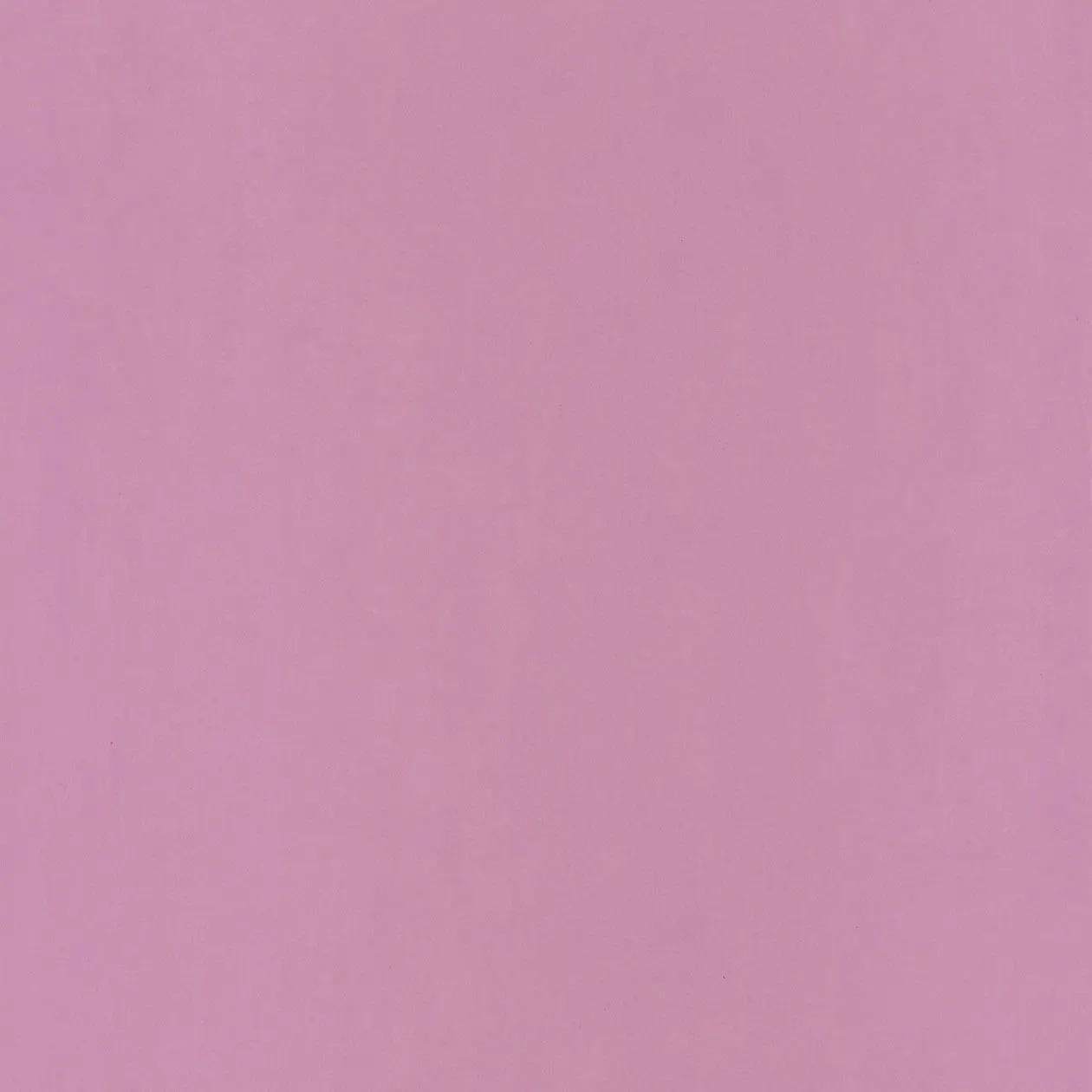 Обои для стен Caselio Pretty Lili PRLI66325302