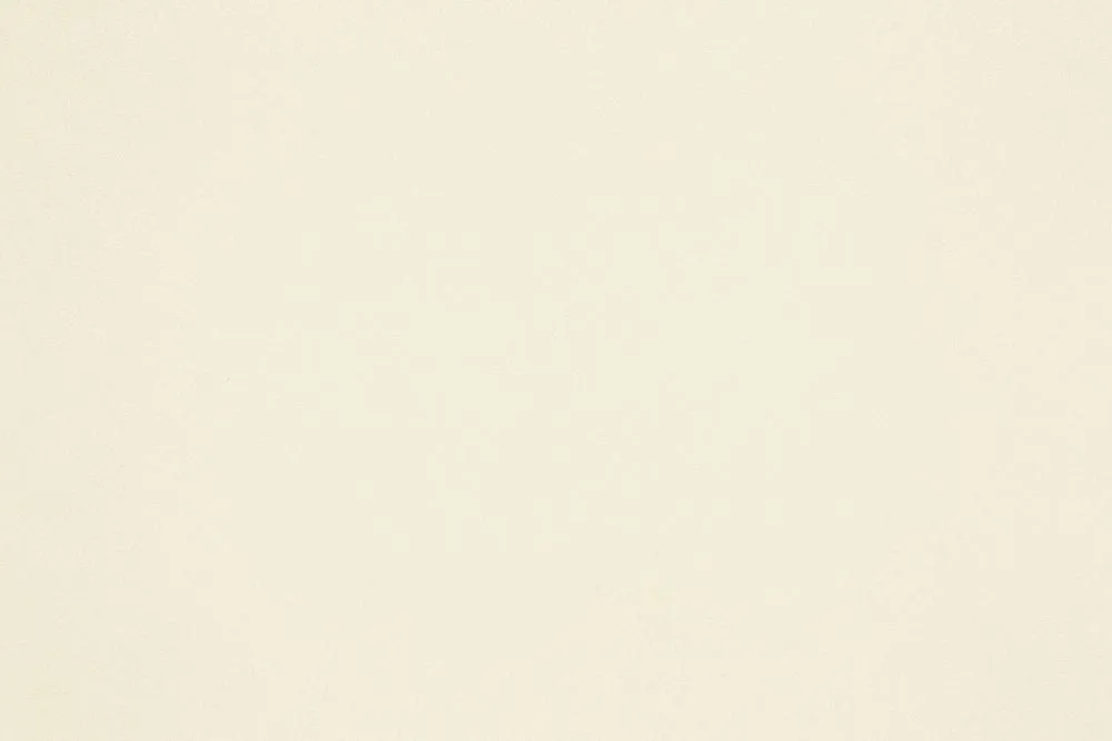 Ткань Alcantara Classic Color Alcantara-1001tr