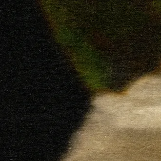 Ткань Elitis Artemis LI-413-81