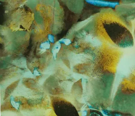 Ткань Alessandro Bini Campus collection G066-S8901