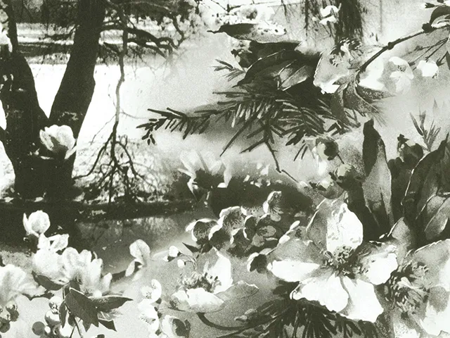 Обои для стен Jean Paul Gaultier Les Papiers 3307_01