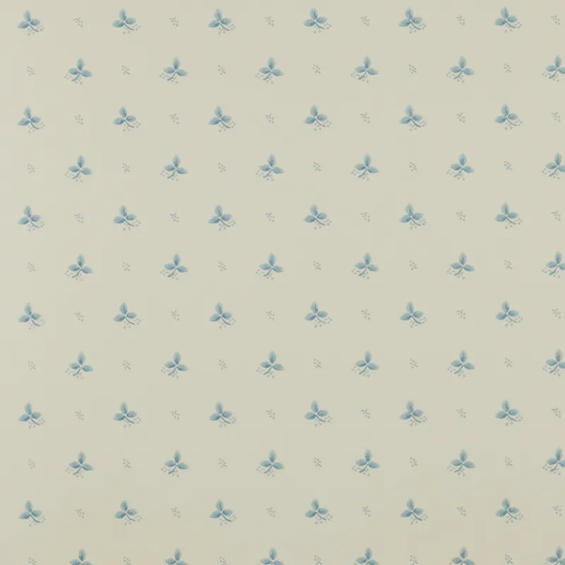 Обои для стен Colefax and Fowler Small Design 7406 #1