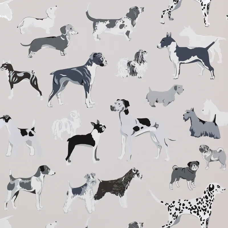 Обои для стен Jane Churchill Get Happy J145W-01