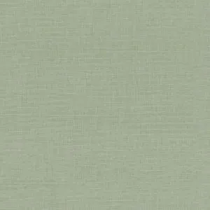 Ткань Ian Mankin Mono Prints fa160-026