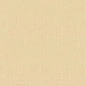 Ткань Ian Mankin Natural Plains fa008-011