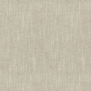 Ткань Ian Mankin Natural Plains fa120-019