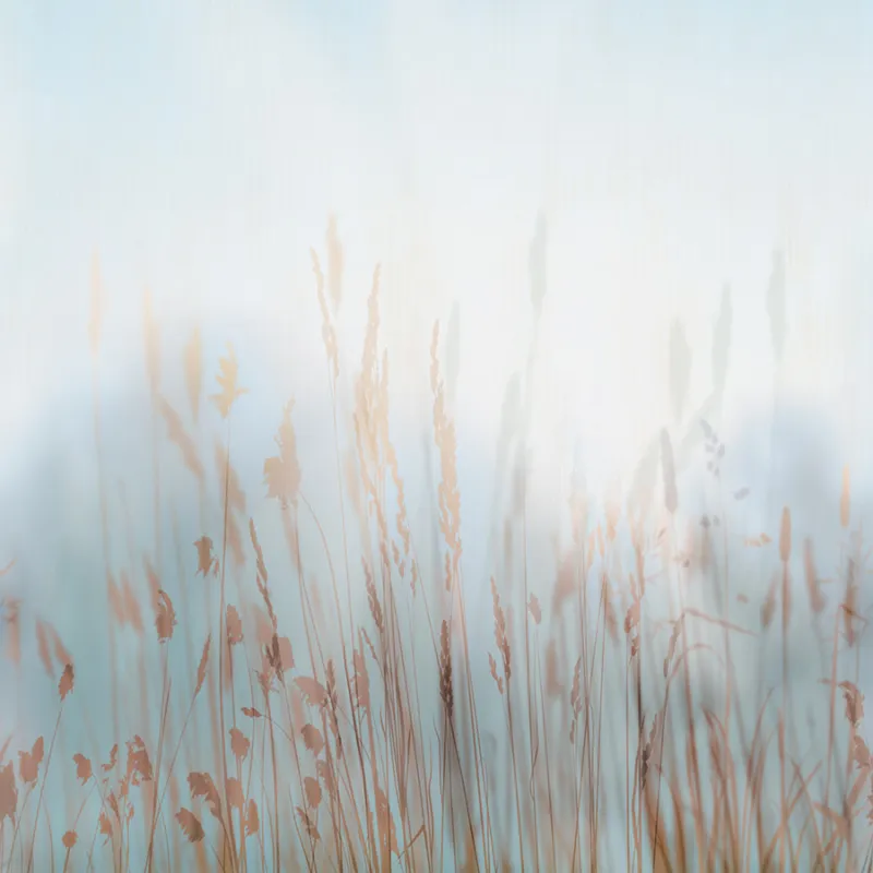 Обои для стен Affresco Современный стиль Aff136336