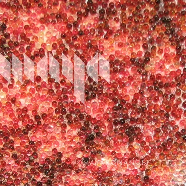 Обои для стен Maya Romanoff Beadazzled mr-bdcus