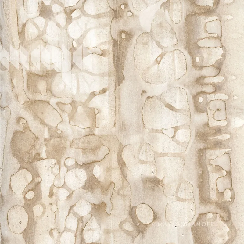 Обои для стен Maya Romanoff River Bed ll w-58-1389