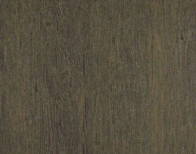 Обои для стен Pierre Frey Double-Jeux FP529011