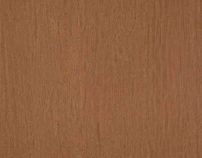 Обои для стен Pierre Frey Double-Jeux FP529014