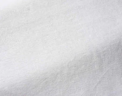 Ткань Pierre Frey Natecru Grande Largeur F3313002