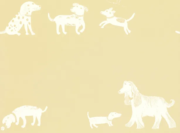 Обои для стен Villa Nova Picturebook Wallcoverings W565-02