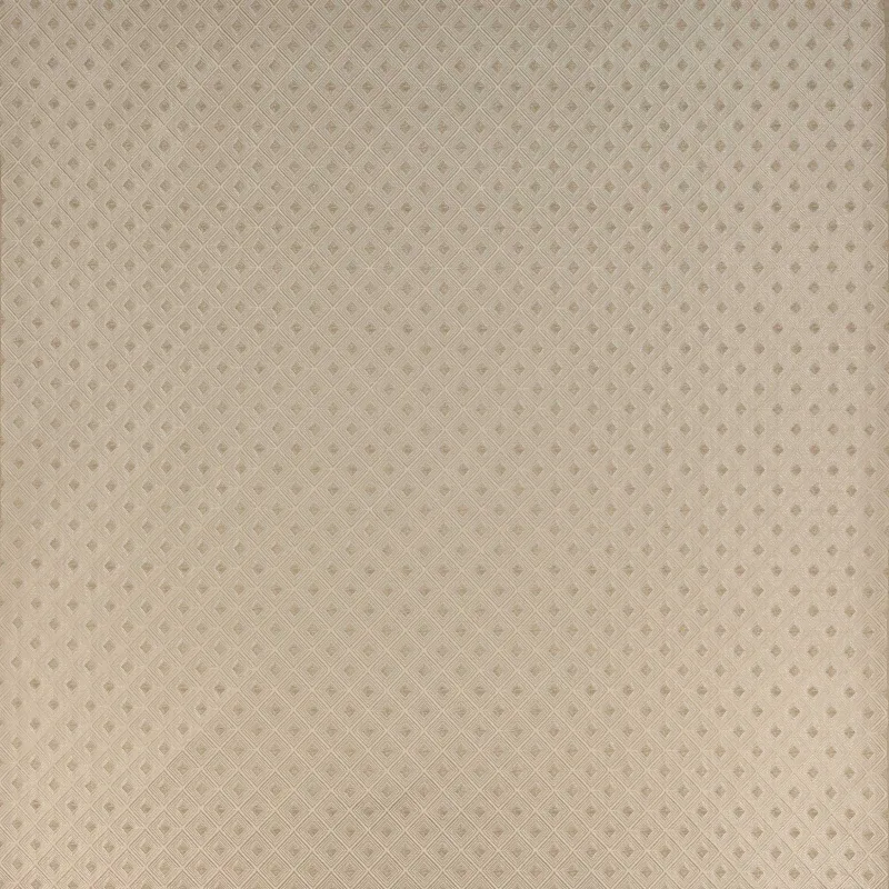 Ткань Jane Churchill Atmosphere VI Fabrics J0044-03