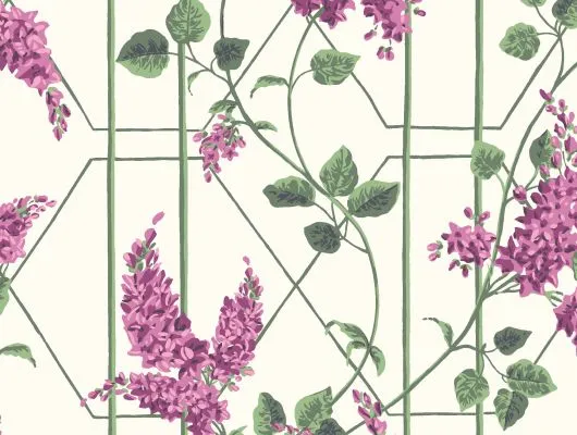 Обои для стен Cole & Son Botanical Botanica 115-5013 #1