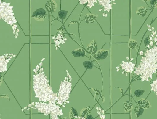 Обои для стен Cole & Son Botanical Botanica 115-5016 #1