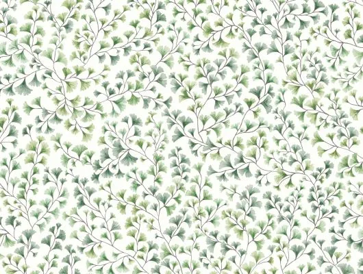 Обои для стен Cole & Son Botanical Botanica 115-6018 #1
