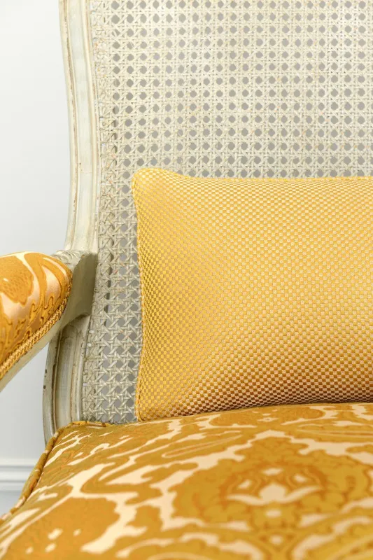 Ткань Tassinari & Chatel Patrimoine DA VINCI-TASSINARI-03