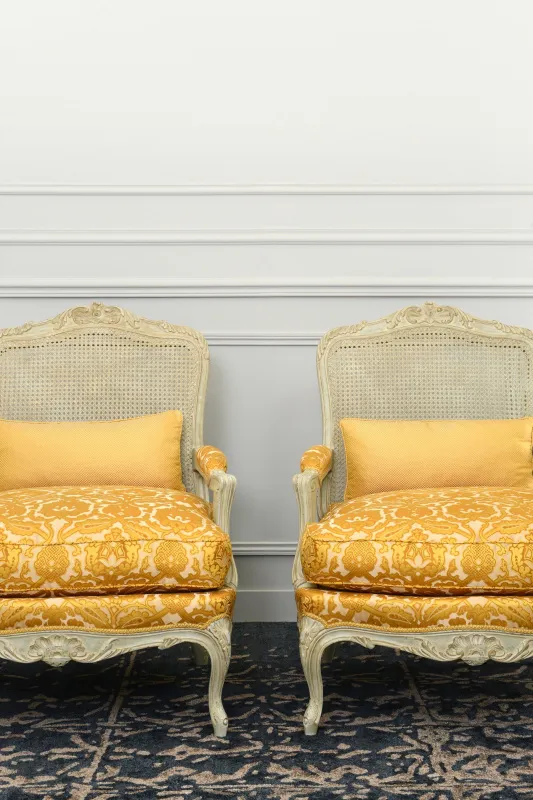 Ткань Tassinari & Chatel Patrimoine LEONARDO-TASSINARI-01