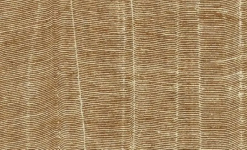 Обои для стен Italreflexes Organic OG65